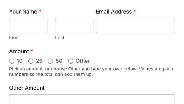 Preview of the Make a Donation form template